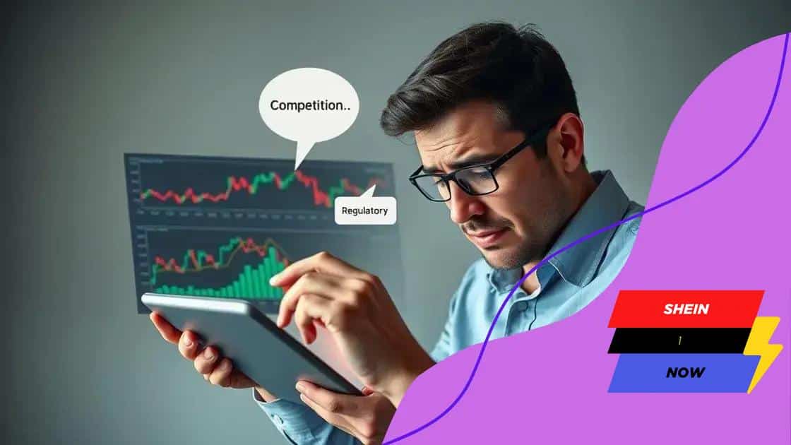 Potential risks of investing in Shein